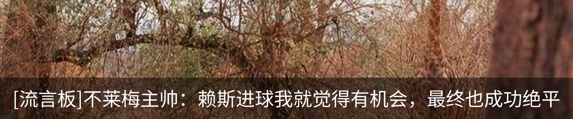 内页banner